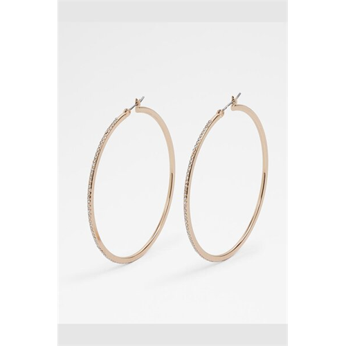 Aldo Eryri Women Earrings