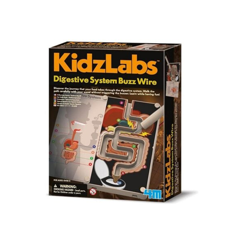 4M Digestive System Buzz Wire