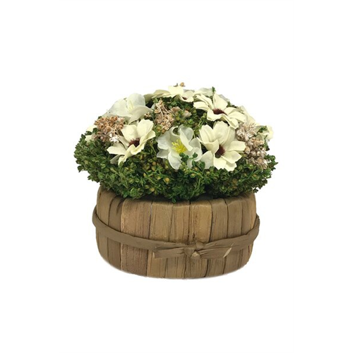 Odel Flower Arrangement White Star Flower On Natural Leaf Base