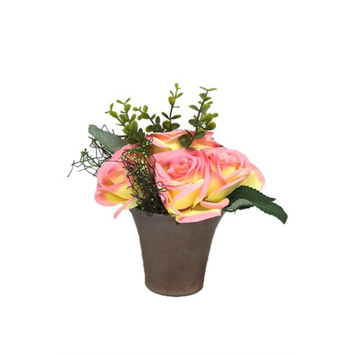 Odel Roses In Pot Flower Arrangement Assorted