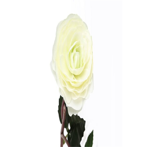 Odel White Pheony Flower