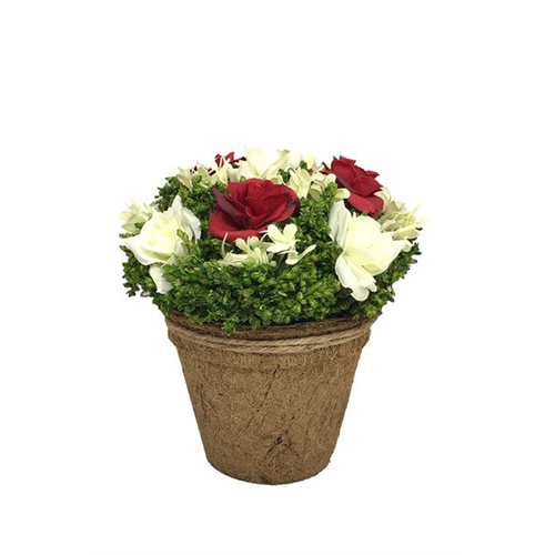 Odel White Red Mix Flower Arrangement On Coir Pot