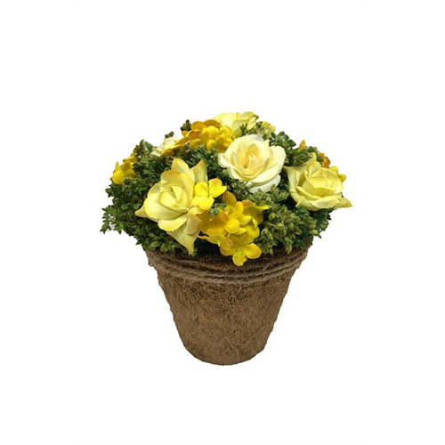 Odel Yellow Roses On Coir Pot Flower Arrangement