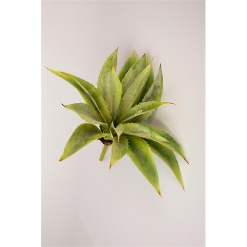 Odel Green Leaves Bunch