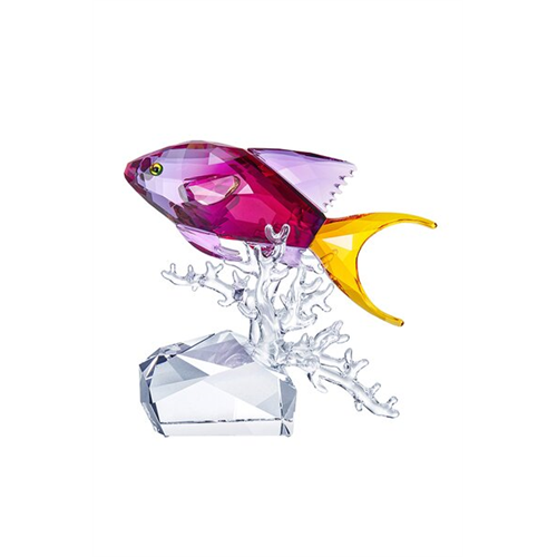 Swarovski Anthias Fish