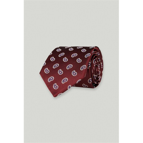 Sacoor Brothers Men's Paisley Tie