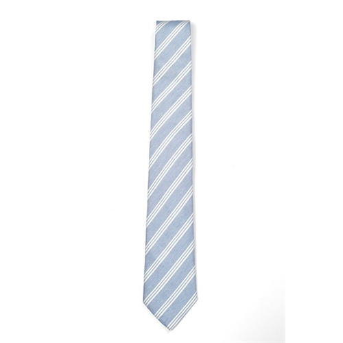 Sacoor Brothers Men's Striped Tie