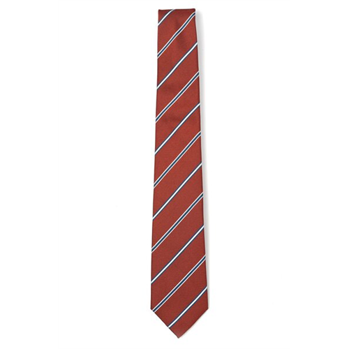 Sacoor Brothers Men's Striped Tie