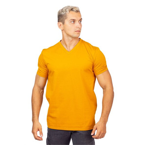 Premium Solid V Neck T-shirt