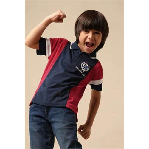 Us Polo Boys Colour Blocked Regular Fit Polo Shirt