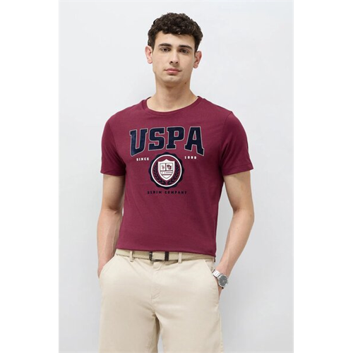 Us Polo Brand Printed Regular Fit T-Shirt