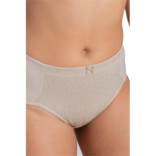 Dorina Lindsay Beige Color Shaping Brief
