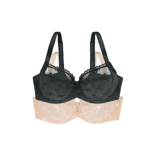 Dorina Zara Solid Color Bra