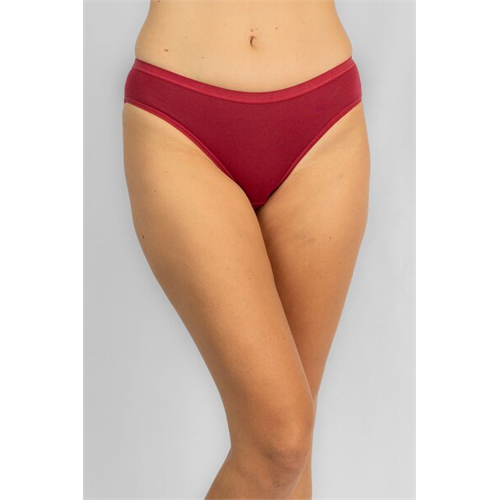 Odel Maroon & Dull Blue Bikini Panty Packs
