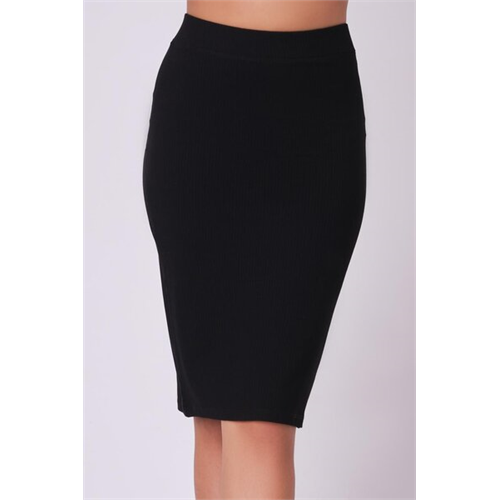 Biconic Black Fitted Skirt