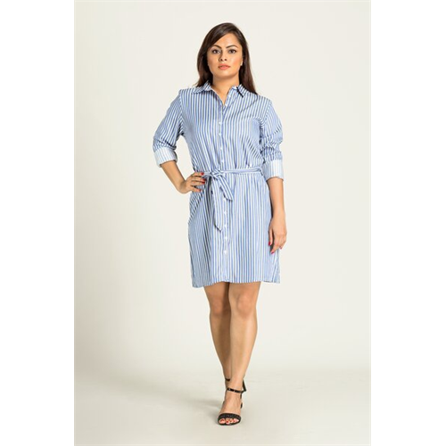 Odel Button Up Shirt Dress