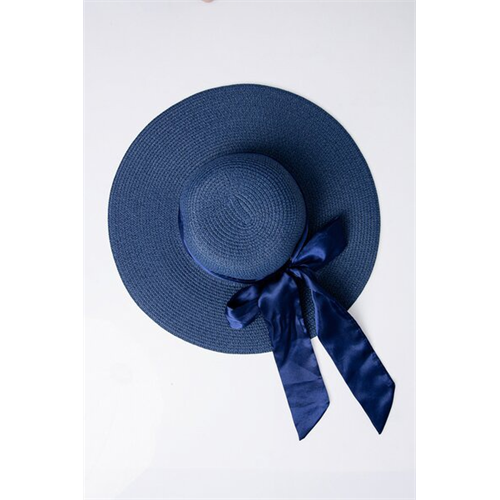 Odel Large Navy Beach Hat