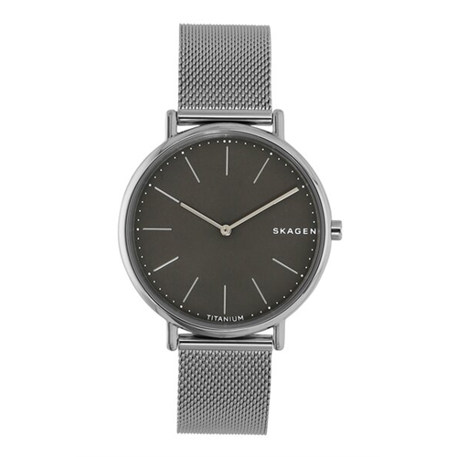 Skagen Men's Signatur Slim Titanium & Stainless Steel Mesh Watch