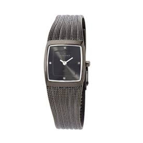 Skagen Trine Stainless Steel Women Watches