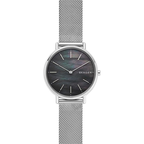 Skagen Women's Signatur Stainless Steel Mesh Watch