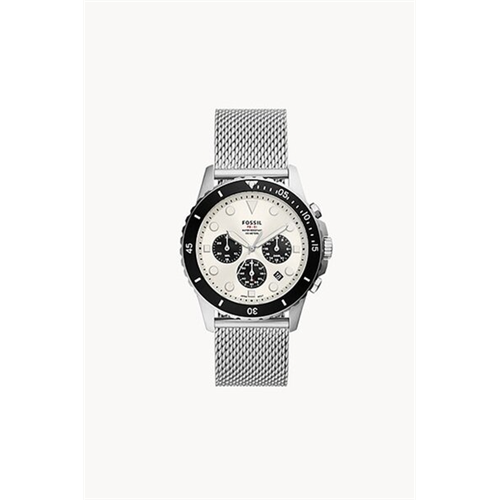 Fossil Men Watch