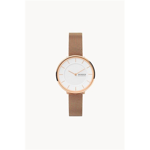 Skagen Gitte Stainless Womens Watch SKW3013