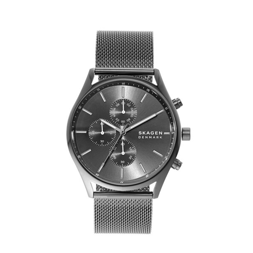 Skagen Men's Holst Stainless Steel Mesh Watch