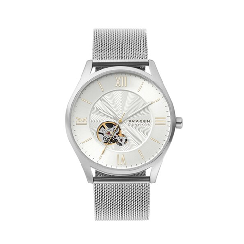 Skagen Men's Holst Stainless Steel Mesh Watch