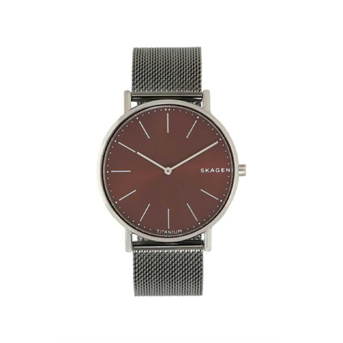 Skagen Men's Signatur Slim Titanium & Stainless Steel Mesh Watch