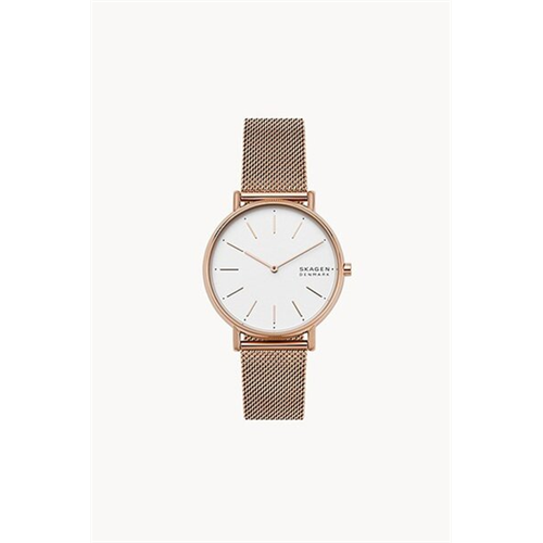 Skagen Women's Anita Stainless Steel Mesh Watch