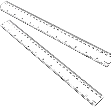 SCALE RULER 30CM 12IN