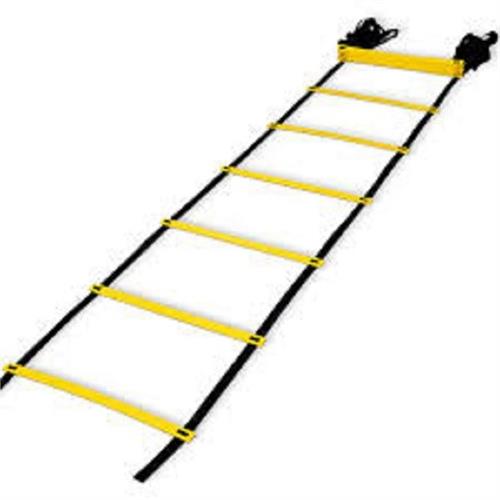 Fitness Ladder