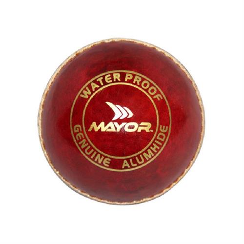 Mayor T20 Leather Cricket Ball