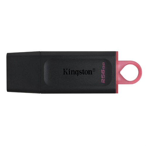 KINGSTON 256GB Pen Drive