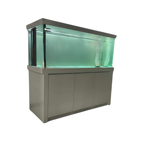 Designer Fish Tank 5ft x 2ft x 2ft