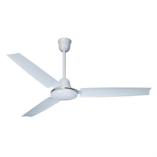 Neptune Ceiling Fan