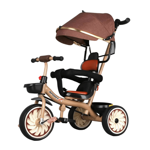 Arrow Tricycle with Canopy Hood- 311