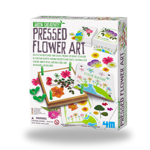 4M Green Creativity Pressed Flower Art Kit