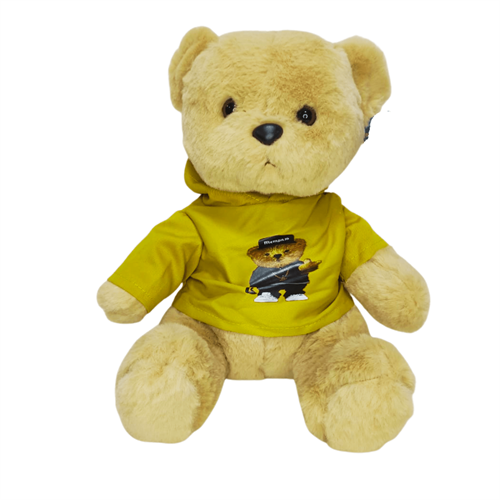 Soft Toy Teddy (24cm)