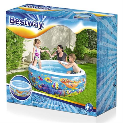 Bestway Swimming Pool (NT-306)