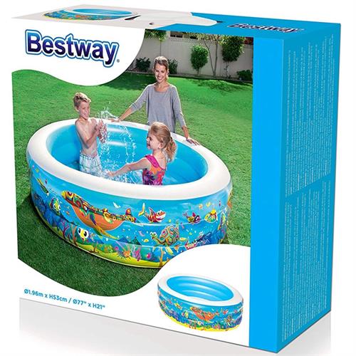 Bestway Swimming Pool (NT-307)