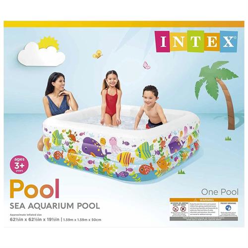 Intex Swim Center Clearview Aquarium Inflatable Pool (62.5' X 62.5' X 19.5')