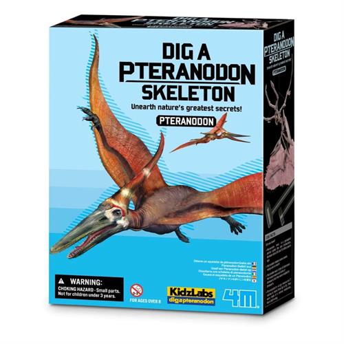 4M KidzLabs Dig a Dinosaur Skeleton - Pteranodon