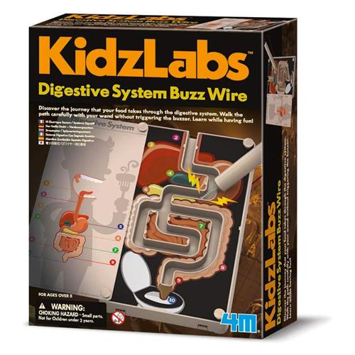 4M KidzLabs Digestive System Buzz Wire