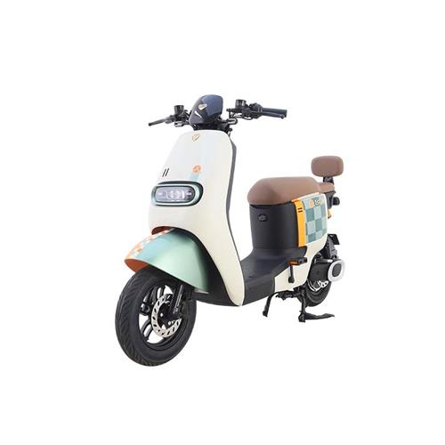 TAILG PACESETTER ELECTRIC MOTORBICYCLE 350W