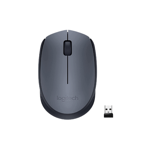 LOGITECH M170 WIRELESS MOUSE (1y)