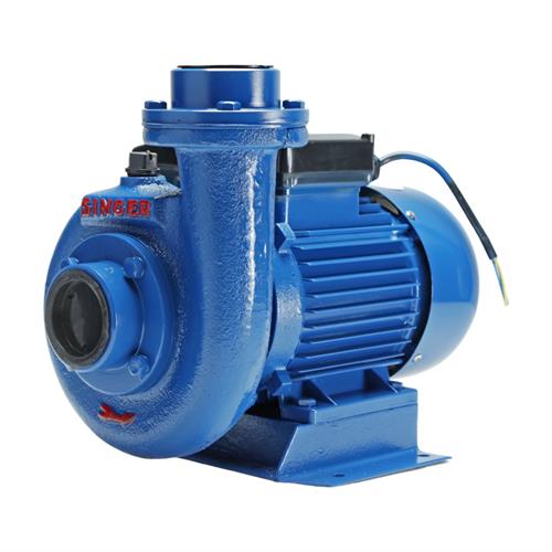 Singer Water Pump - 80Ft, 2" X 2", 2.0HP