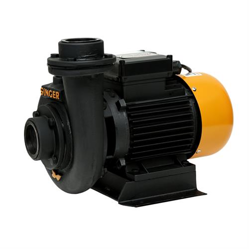 Singer Water Pump WP-CH200H-S - High Capacity, 2" X 2", 2.0HP