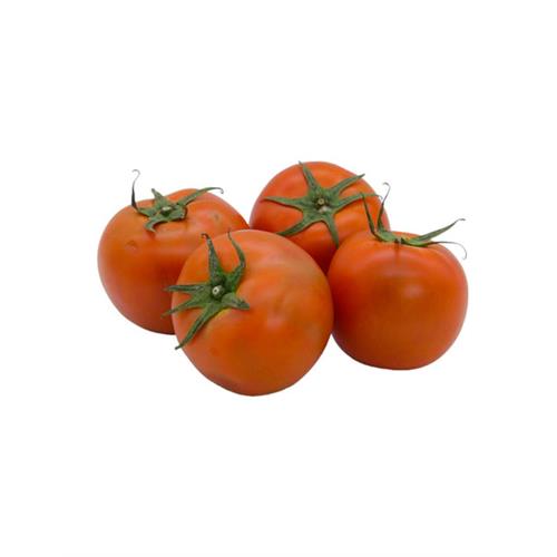 BEEF Tomato - 1kg