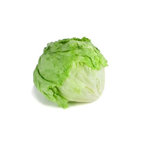 ICEBERG (LETTUCE) - 1kg